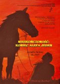 NIeskonczonosc: koniec alefa jeden (eBook, ePUB)