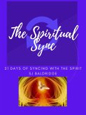 The Spiritual Sync (eBook, ePUB)