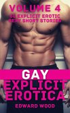 Gay Explicit Erotica - Volume 4 (eBook, ePUB)