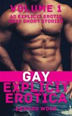 Gay Explicit Erotica - Volume 1 (eBook, ePUB)