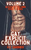 Gay Explicit Collection - Volume 2 (eBook, ePUB)