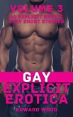Gay Explicit Erotica - Volume 3 (eBook, ePUB)