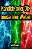 Kandide oder Die beste aller Welten (eBook, ePUB)