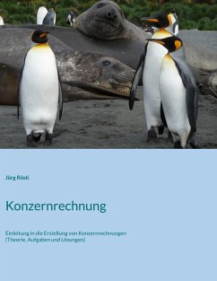Cover Konzernrechnung (eBook, PDF)