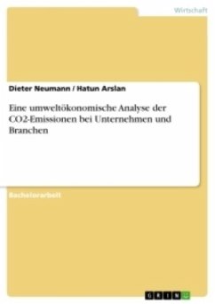 Eine umweltökonomische Analyse der CO2-Emissionen bei Unternehmen und Branchen
