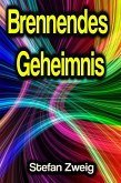 Brennendes Geheimnis (eBook, ePUB) Brennendes Geheimnis (eBook, ePUB)
