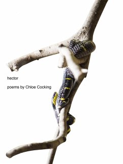 Cover Hector (eBook, ePUB)