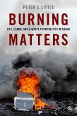 Burning Matters (eBook, PDF)