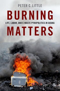 Burning Matters (eBook, PDF) - Little, Peter C.