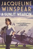 A Sunlit Weapon (eBook, ePUB)