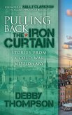 Pulling Back the Iron Curtain (eBook, ePUB)