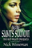 Before Saint's Summit: Two Red Wraith Prequels (The Red Wraith) (eBook, ePUB)