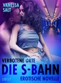 Verbotene Orte: Die S-Bahn - Erotische Novelle (eBook, ePUB)