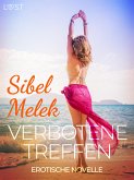 Verbotene Treffen - Erotische Novelle (eBook, ePUB)