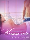 Komm rein - Erotische Novelle (eBook, ePUB)