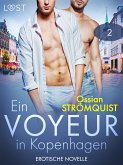 Ein Voyeur in Kopenhagen 2 - Erotische Novelle (eBook, ePUB)