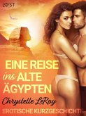 Eine Reise ins alte Ägypten - Erotische Kurzgeschichte (eBook, ePUB)