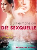 Die Sexquelle - Erotische Novelle (eBook, ePUB)