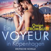 Ein Voyeur in Kopenhagen 1 - Erotische Novelle (MP3-Download)
