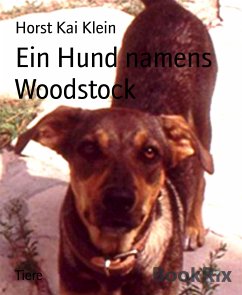 Ein Hund namens Woodstock (eBook, ePUB) - Kai Klein, Horst