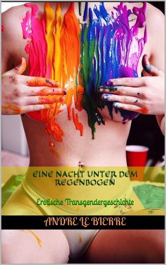 Eine Nacht unter dem Regenbogen (eBook, ePUB)