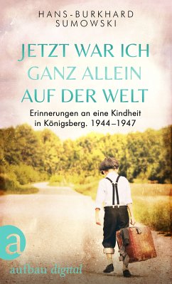 Jetzt war ich ganz allein auf der Welt (eBook, ePUB) - Sumowski, Hans-Burkhard