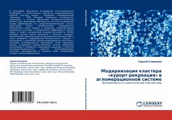 Modernizaciq klastera «kurort-rekreaciq» w aglomeracionnoj sisteme - Slepakow, Sergej