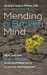 Mending a Broken Mind - Bild 1