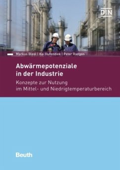 Abwärmepotentiale in der Industrie - Buch mit E-Book, m. 1 Buch, m. 1 Beilage - Blesl, Markus;Hufendiek, Kai;Radgen, Peter