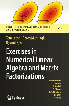 Exercises in Numerical Linear Algebra and Matrix Factorizations - Lyche, Tom;Muntingh, Georg;Ryan, Øyvind
