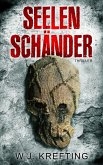 Seelenschänder: Thriller (eBook, ePUB)