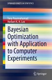 Bayesian Optimization with Application to Computer Experiments (eBook, PDF)