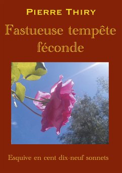 Fastueuse tempête féconde (eBook, ePUB) - Thiry, Pierre