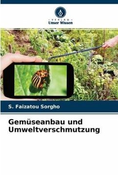 Gemüseanbau und Umweltverschmutzung - Sorgho, S. Faizatou