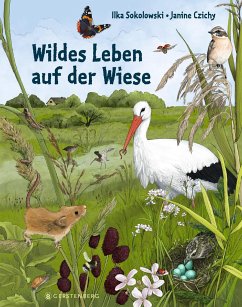 Wildes Leben auf der Wiese - Sokolowski, Ilka