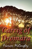 Carrig Of Dromara (eBook, ePUB)