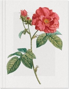 Geschichte der Rose Großes Notizheft Motiv Französische Rose