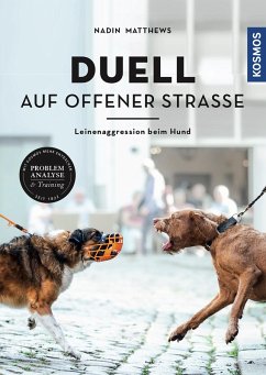 Duell auf offener Straße (eBook, ePUB) - Matthews, Nadin