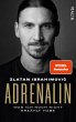 Adrenalin (eBook, ePUB) - Bild 1