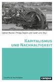 Kapitalismus und Nachhaltigkeit (eBook, PDF)