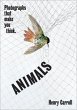 ANIMALS (eBook, ePUB) - Bild 1