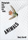 ANIMALS (eBook, ePUB)