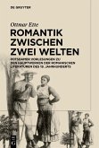 Romantik zwischen zwei Welten (eBook, PDF)