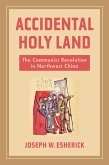 Accidental Holy Land (eBook, ePUB)