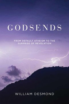Godsends (eBook, ePUB) - Desmond, William