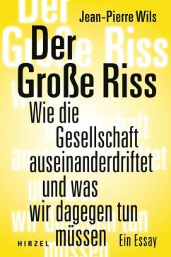 Der Große Riss (eBook, ePUB) - Wils, Jean-Pierre