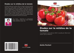 Études sur le mildiou de la tomate - Pachori, Amita