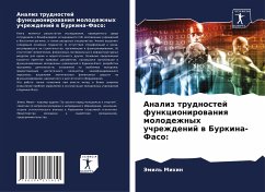 Analiz trudnostej funkcionirowaniq molodezhnyh uchrezhdenij w Burkina-Faso: - Mihin, Jemil'