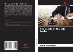 The assets of the sole trader - Hien, Nopire Severin