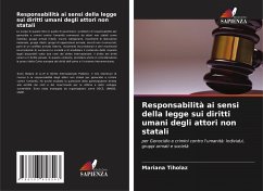 Responsabilità ai sensi della legge sui diritti umani degli attori non statali - Tiholaz, Mariana